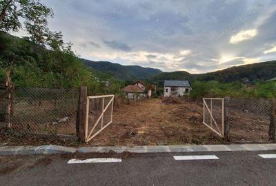 Teren cu autorizatie construire pensiune, Caciulata - 1