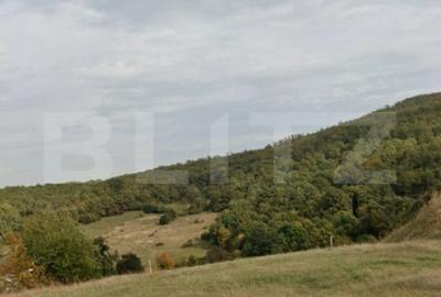 Teren de 1500 mp, în Central - 2