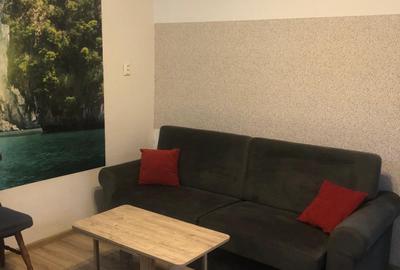 Garsonieră în Coiciu - 4