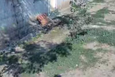 Casa de vanzare Baneasa - 4