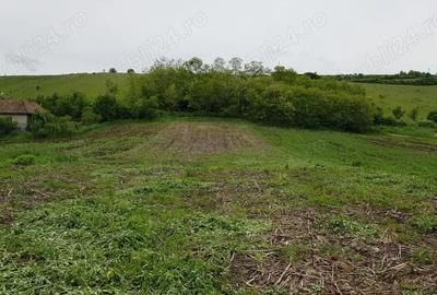 Teren de 2900 mp, în Căianu - 3