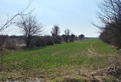 Teren intravilan Magurele langa padurea Cornetu si Arges - 4