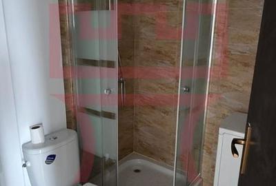 Garsonieră decomandată, mobilată în Zorilor - 10