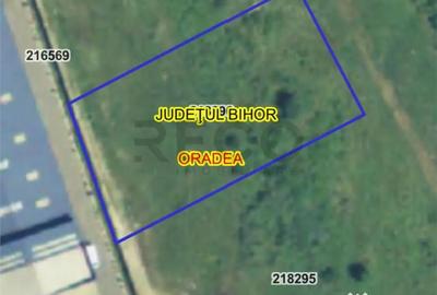 Teren de 3000 mp, în Centura - 1