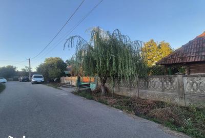 Casă cu 3 camere cu Teren 4820 Mp în Telești - 4