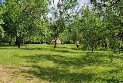 Teren de 2500 mp, în Măneciu - 2