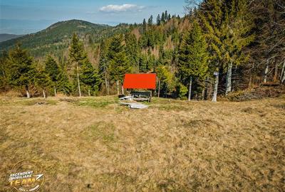 Teren Construcții intravilan de 5800 mp, în Ojdula - 31