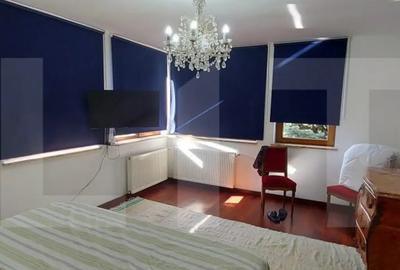 Casă cu 9 camere cu Teren 750 Mp în Dumbrăvița - 4