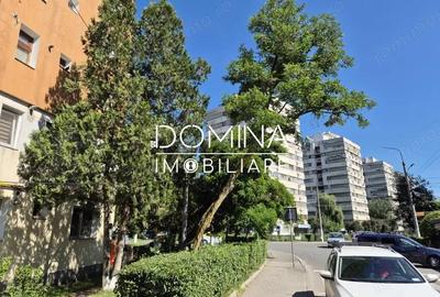 Spațiu comercial, de 40 mp, în Nicolae Titulescu - 1