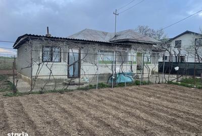 Casă cu 3 camere cu Teren 5239 Mp în Brazi - 14