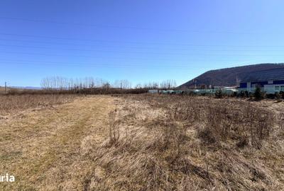 Spațiu comercial, în Sărățel - 3