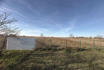 Teren de 2800 mp, în Micula - 5