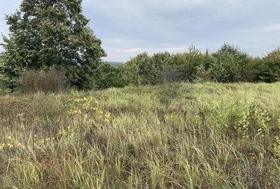 Teren extravilan de vanzare in Tileagd - 3166 mp cu panorama superba - 12