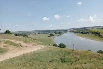 Casă cu 3 camere cu Teren 3850 Mp în Mitoc - 1