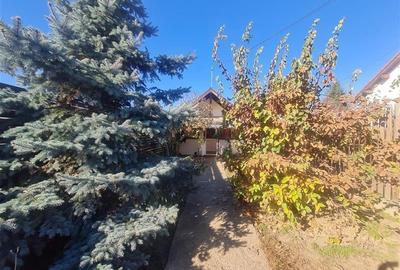 Doua casute tip A Frame, totul pe un teren de 300 mp, Ghimbav, Brasov Doua casute tip A Frame, totul pe un teren de 300 mp, Ghimbav, Brasov - 10