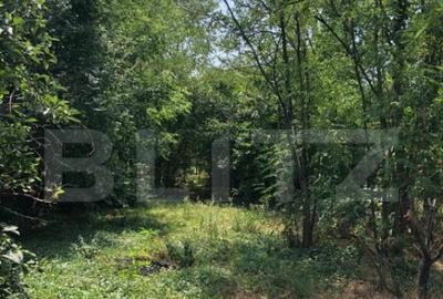 Casa individuala 3 camere Parter 90 mp utili , teren 1980 mp - 4