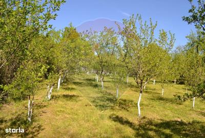 Casă cu 4 camere în Teiș - 5
