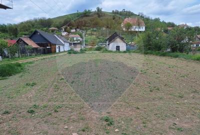 Teren Construcții intravilan de 1160 mp, în Dârlos - 2