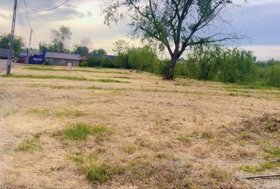 Spațiu comercial, în Central