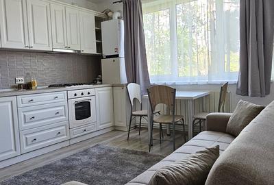 Apartament cu 3 camere nedecomandat în Dosu Bricii - 3