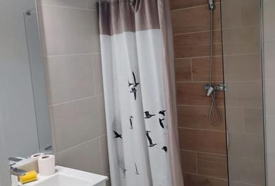 Apartament cu 3 camere decomandat, mobilat în Braytim - 10