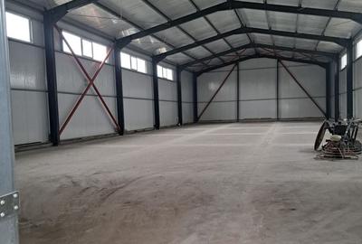 Spațiu industrial, de 510 mp, în Nord-Est - 2