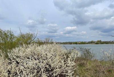 Teren de 4635 mp, în Samurcași