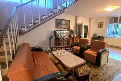 Casa individuala, zona Mehala - Cetatii, teren generos - 3