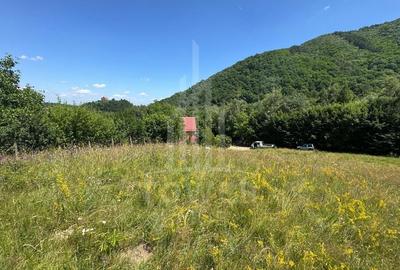 Teren intravilan 4600mp - 55 EUR/mp - EXCLUSIVITATE CISNADIOARA - COMISION 0% - 8