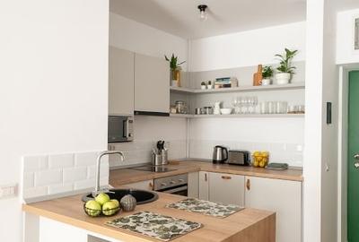 Apartament cu 2 camere semidecomandat, mobilat în Herăstrău - 6