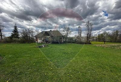 Teren Construcții intravilan de 5097 mp, în Dumbrăvița - 8