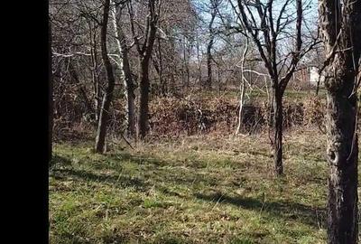 Spațiu comercial, în Coruia - 5