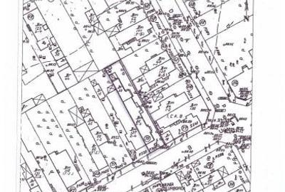 Casa 1 Mai pretabila birouri/locuimta - 3