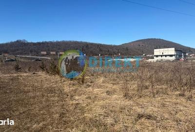 Teren de 9236 mp, în Șieu - 8