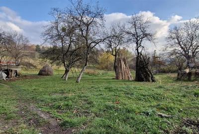 RECO Teren intravilan in Borod, Bihor 1750mp - 9