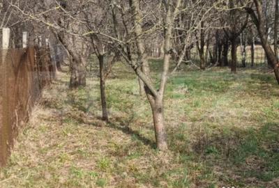 Casă cu 4 camere cu Teren 2800 Mp în Central - 11