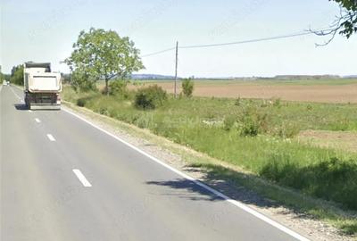 Teren de 3000 mp, în Sălard - 1