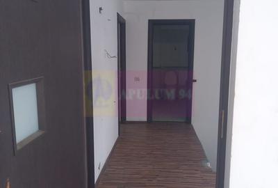 Casa de vanzare Clinceni - 10