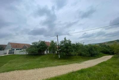 Casă cu Teren 2472 Mp în Burzuc - 4