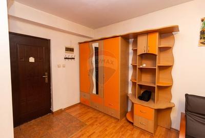 Apartament cu 1 camere decomandat, mobilat în Ozana - 6
