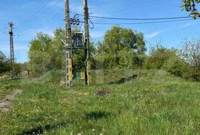 Teren de 19000 mp, în Botoș - 6