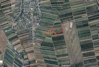 Teren Extravilan | Dumbraveni Varatec - 1