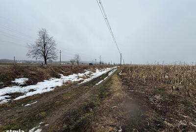 Teren de 7276 mp, în Putna