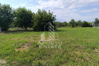 Teren de 683 mp, în Giarmata