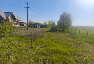 Teren de 2500 mp, în Rădăuți - 3