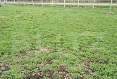 Teren de 3000 mp, în Călărași - 1