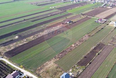 Teren de 2500 mp, în Vânători - 2