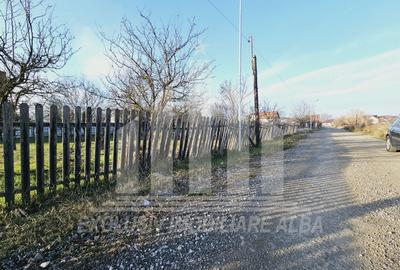 Teren Construcții intravilan de 1769 mp, în Cetate - 1