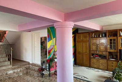 Casa P+1 cu teren de 303mp in apropierea stadionului Ion Oblemenco - 3