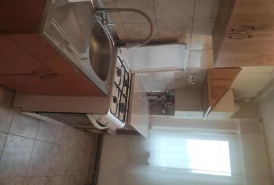Apartament cu 2 camere decomandat în Bejan - 10